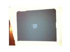 Original-apple-ipad-case