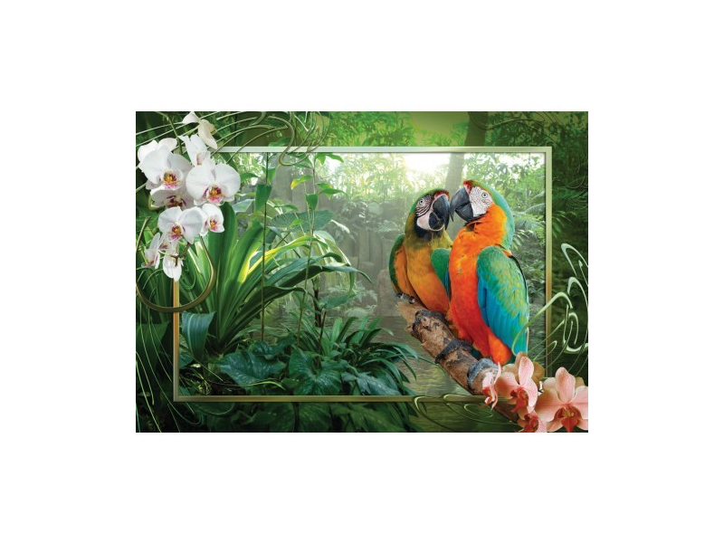 Ravensburger 19188 Papageien im Dschungel Testbericht bei yopi.de