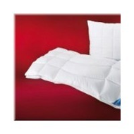F-a-n-schlafgut-aloe-vera-steppbett