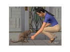 Die-sims-2-haustiere-pc-simulationsspiel