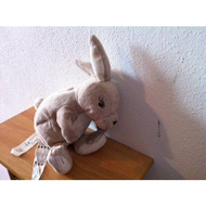 Unser-hasi