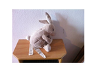 Unser-hasi