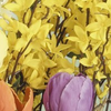 Dragimex-forsythienzweig