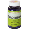 Hecht-pharma-schachtelhalm