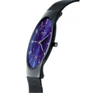 Skagen-herrenuhr-233xltmn