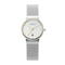 Skagen-damenuhr-355sgsc