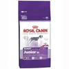 Royal-canin-giant-junior-31