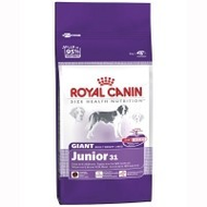 Royal-canin-giant-junior-31