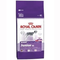 Royal-canin-giant-junior-31