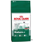 Royal-canin-mini-mature-27