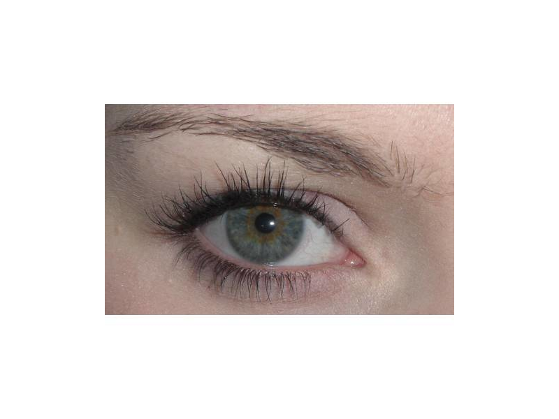 Kiko Volume Attraction Mascara Testberichte bei yopi.de