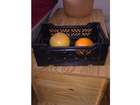 Tanner-mini-klapp-box