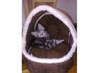 Kerbl-maxi-pet-kuschelhoehle-amy