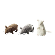 Gosig Mus Kuscheltier frisch gewaschen 14cm Plüsch Maus Ratte von IKEA grau 