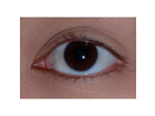 Amuse-eyelash-curler