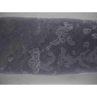 Haessliche-wasserfarbe