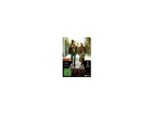 Foto-der-orginal-dvd