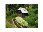 Titisee-miniatur-einer-schwarzwaldmuehle-im-park