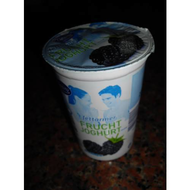 Desira-fettarmer-joghurt-1-8-brombeer