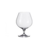 Leonardo-cheers-schwenker
