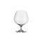 Leonardo-cheers-schwenker