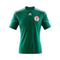 Adidas-nigeria-trikot-home