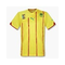 Puma-kamerun-trikot-away