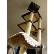 Unser-kratzbaum-im-wohnzimmer