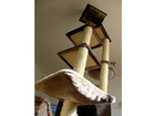 Unser-kratzbaum-im-wohnzimmer