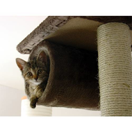 Unsere-katze-vor-einem-jahr