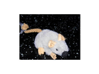 So-sieht-die-maus-aus