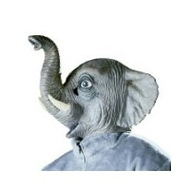 Tiermaske-elefant