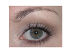 Ellen-betrix-max-factor-false-lash-effect