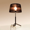 Van-de-heg-tischlampe
