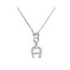 Aigner-collier-rhodiniert