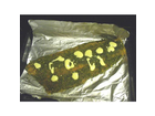 Fisch-vorbereitung-mit-butterpflocken