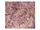 Fleisch