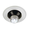 Slv-focu-led-eyeball