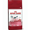 Royal-canin-medium-junior-32