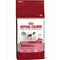 Royal-canin-medium-junior-32