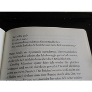 Ich-bin-dann-mal-weg-reisetagebuch-mit-zitaten-von-hape-kerkeling-leseprobe-szene-mit-schnabbel-und-gerd-seite-153