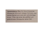 Und-nummer-4