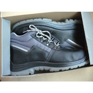 Die-neuen-schuhe