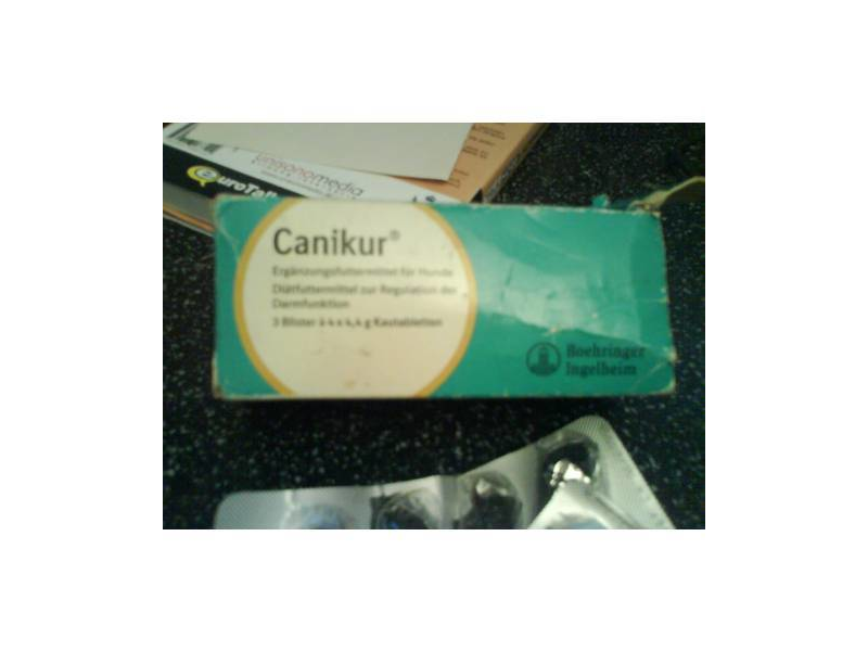 Boehringer Ingelheim Canikur Kautabletten Preisvergleich Testbericht