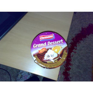 Ehrmann-grand-dessert-plus-sahne-schoko-orange