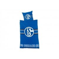 Bertels-fc-schalke-04