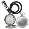 Skagen-taschenuhr-443lslc