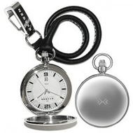 Skagen-taschenuhr-443lslc