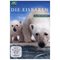 Die-eisbaeren-aug-in-aug-mit-eisbaeren-dvd