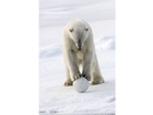 Die-schneeball-cam-im-belastungstest